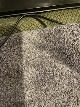 Snapshot of Prolapse_Pig chatting on 11.13.25 Prolapse Pig online show from 11.13.25