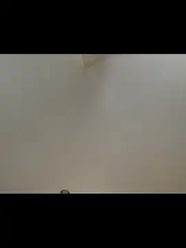 Snapshot of Prolapse_Pig chatting on 01.13.26 Prolapse Pig online show from 01.13.26