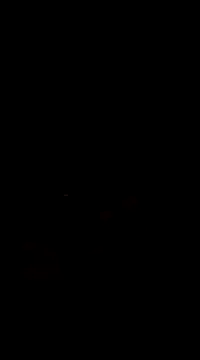 Raj41 online show from 03.01.25