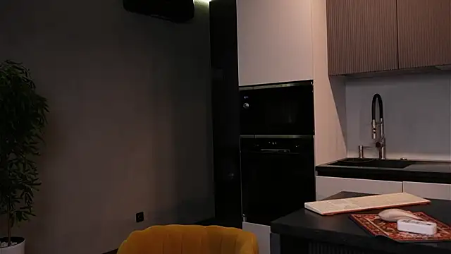 Snapshot of Sofa_01 chatting on 01.16.26 Sofa 01 online show from 01.16.26