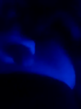 Snapshot of MAKAYALE7949 chatting on 02.16.26 MAKAYALE7949 online show from 02.16.26