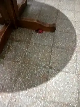 parejarica420 online show from 03.06.26