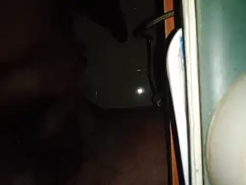 Snapshot of world_bigdick1 chatting on 02.14.25 world bigdick1 online show from 02.14.25