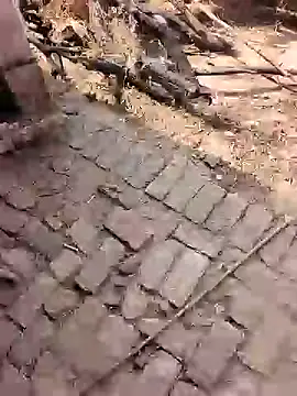 Snapshot of xmanrawan2 chatting on 02.17.26 xmanrawan2 online show from 02.17.26