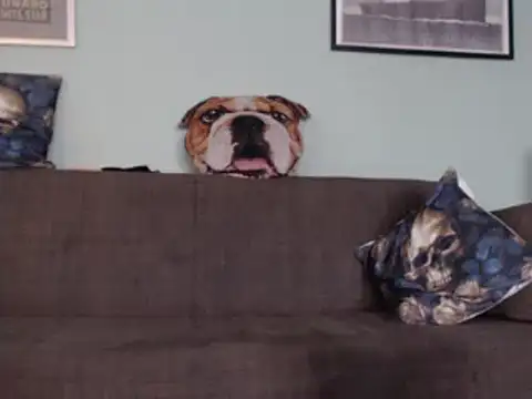 Astrid-Gilbert online show from 02.05.25