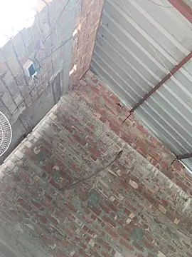 birds0641 online show from 10.24.25