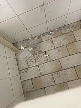 Snapshot of wadmma chatting on 11.19.25 wadmma online show from 11.19.25