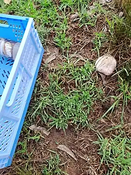 RichardHard 1 online show from 01.17.26