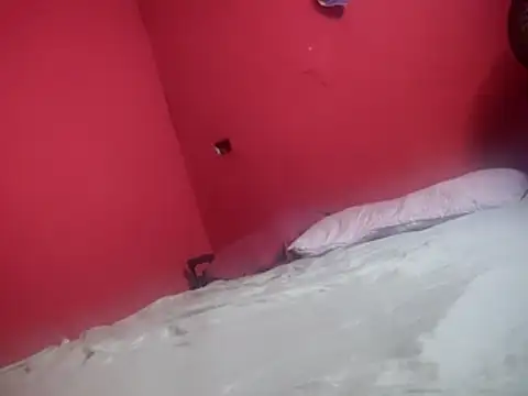 Snapshot of Dehtrans chatting on 01.13.26 Dehtrans online show from 01.13.26