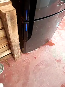 Snapshot of HotC1991 chatting on 01.12.26 HotC1991 online show from 01.12.26