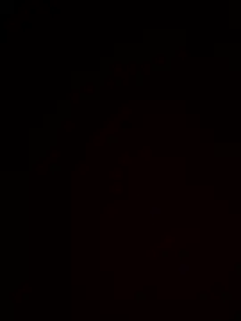 Lincolndraft online show from 04.20.26