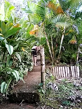 Snapshot of Dracoandr chatting on 12.01.25 Dracoandr online show from 12.01.25