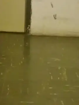 DahGiver online show from 02.18.25