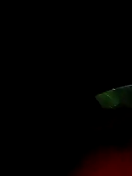 ginger 1 1 online show from 03.18.25