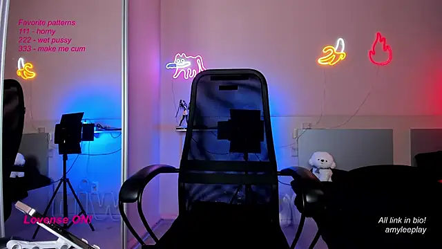 Snapshot of AmyLeeplay chatting on 02.25.25 AmyLeeplay online show from 02.25.25