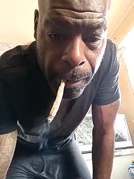 birdg online show from 02.22.26