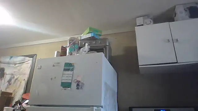 birdg online show from 03.02.26