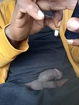 birdg online show from 03.15.26