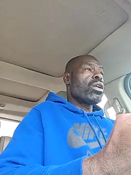 birdg online show from 03.23.26