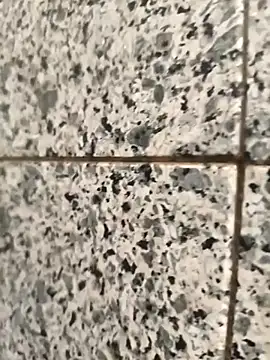 henri69 online show from 02.24.26