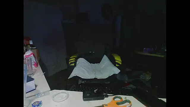 Snapshot of TommyDoggg chatting on 03.02.25 TommyDoggg online show from 03.02.25