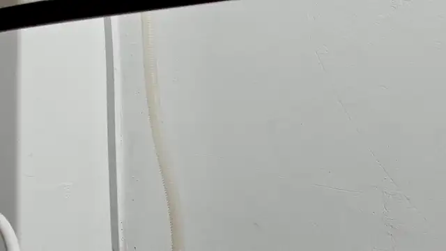 Aleshkastone online show from 01.11.26