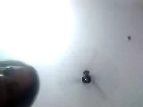 MEENA ROY online show from 02.21.25