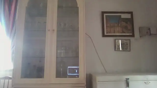 Snapshot of llopaco chatting on 12.15.25 llopaco online show from 12.15.25