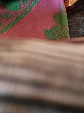 cocktony online show from 01.13.26