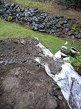 KingSlim56 online show from 11.15.25