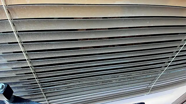 Snapshot of SaraClub_JY chatting on 10.21.25 SaraClub JY online show from 10.21.25