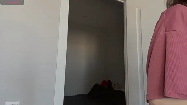 SibleyBurner online show from 04.01.26