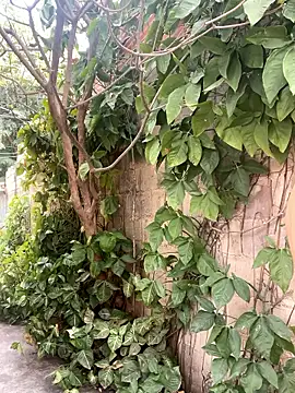 Snapshot of twinks_28 chatting on 01.14.26 twinks 28 online show from 01.14.26