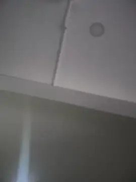 Mila LS online show from 11.26.25