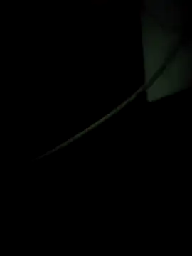 Snapshot of enoc369 chatting on 12.04.25 enoc369 online show from 12.04.25