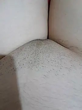 Snapshot of yakot7 chatting on 10.31.25 yakot7 online show from 10.31.25