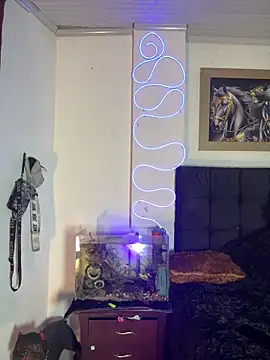 Snapshot of CRAZY-BOY99 chatting on 12.14.25 CRAZY-BOY99 online show from 12.14.25