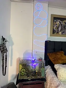 Snapshot of CRAZY-BOY99 chatting on 12.16.25 CRAZY-BOY99 online show from 12.16.25