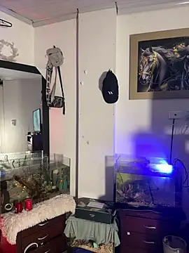 Snapshot of CRAZY-BOY99 chatting on 01.11.26 CRAZY-BOY99 online show from 01.11.26