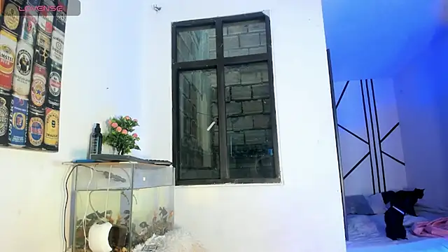 Snapshot of CRAZY-BOY99 chatting on 02.11.26 CRAZY-BOY99 online show from 02.11.26