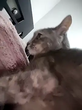 Snapshot of mialorents chatting on 11.23.25 mialorents online show from 11.23.25