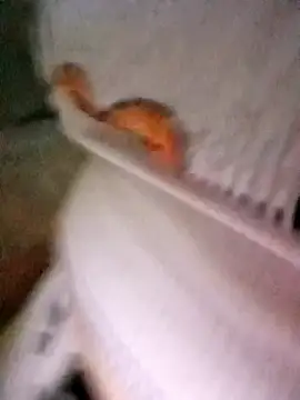 patrona sexooo online show from 10.11.25