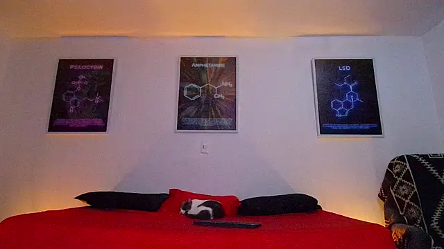 Snapshot of 22Amatista chatting on 03.11.26 22Amatista online show from 03.11.26