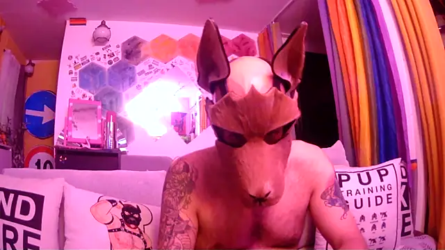 Snapshot of danix_wild_wolf chatting on 05.31.26 danix wild wolf online show from 05.31.26