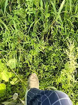 himvilohi08 online show from 10.11.25