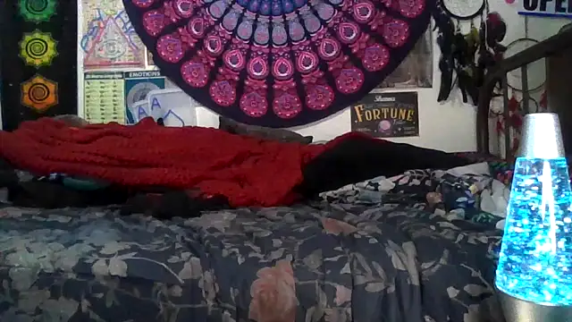 Snapshot of GardeniaFields chatting on 02.11.26 GardeniaFields online show from 02.11.26