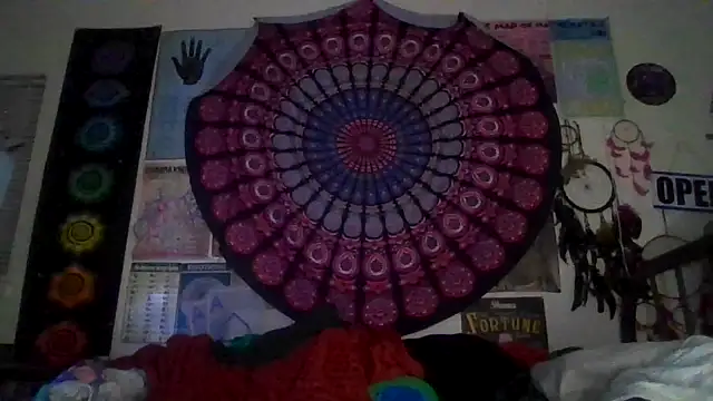 Snapshot of GardeniaFields chatting on 03.02.26 GardeniaFields online show from 03.02.26