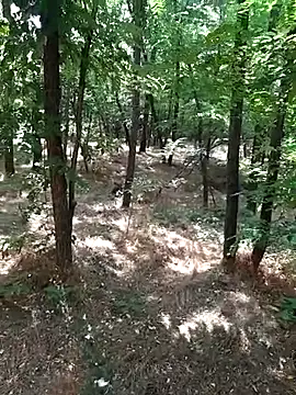 Snapshot of sile47 chatting on 07.19.26 sile47 online show from 07.19.26