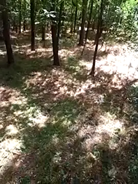 Snapshot of sile47 chatting on 08.09.26 sile47 online show from 08.09.26