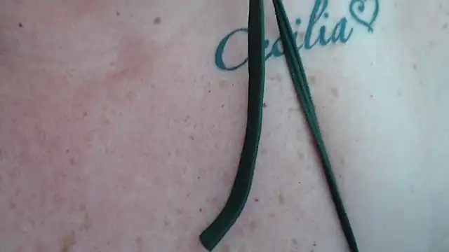 Snapshot of Olgahunder chatting on 07.20.26 Olgahunder online show from 07.20.26